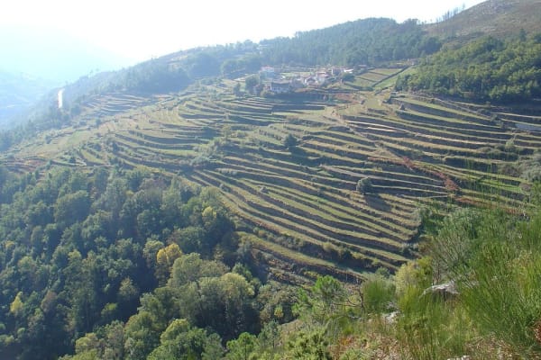 Foto 213 da atividade Galeria de Fotos