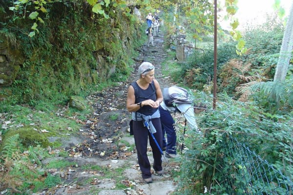 Foto 210 da atividade Galeria de Fotos