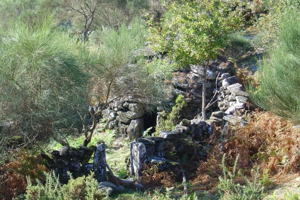 Foto 204 da atividade Galeria de Fotos