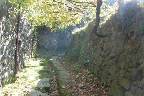 Foto 205 da atividade Galeria de Fotos