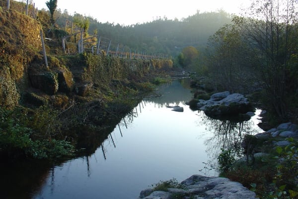 Foto 191 da atividade Galeria de Fotos