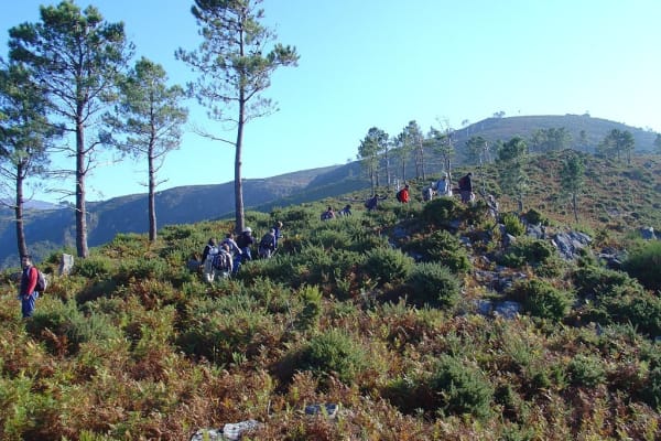 Foto 172 da atividade Galeria de Fotos