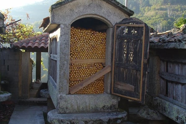 Foto 169 da atividade Galeria de Fotos