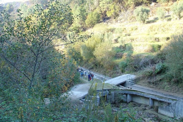 Foto 161 da atividade Galeria de Fotos