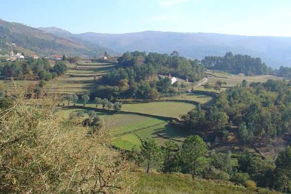 Foto 138 da atividade Galeria de Fotos