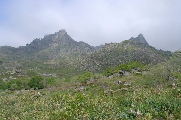 Foto 198 da atividade Galeria de Fotos