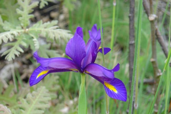 Foto 195 da atividade Galeria de Fotos