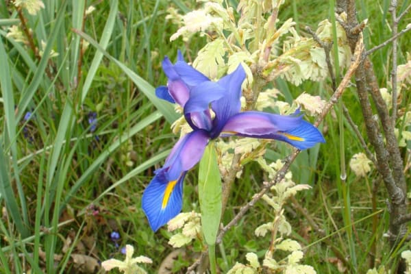 Foto 194 da atividade Galeria de Fotos