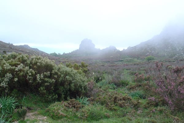 Foto 175 da atividade Galeria de Fotos