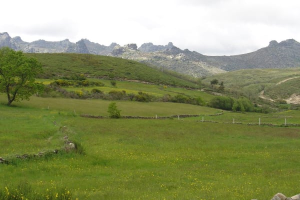 Foto 169 da atividade Galeria de Fotos