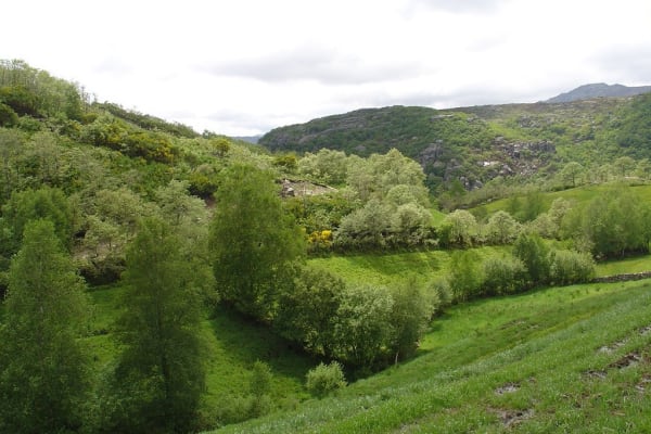 Foto 160 da atividade Galeria de Fotos