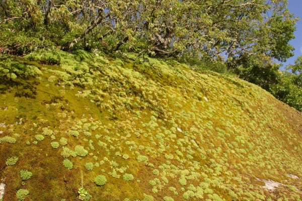 Foto 159 da atividade Galeria de Fotos