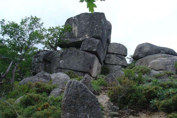 Foto 151 da atividade Galeria de Fotos