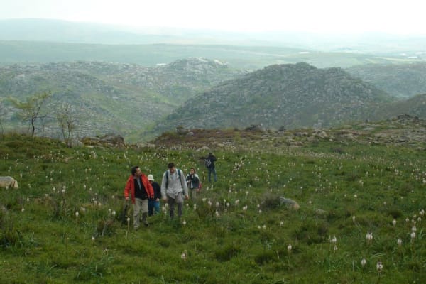 Foto 147 da atividade Galeria de Fotos