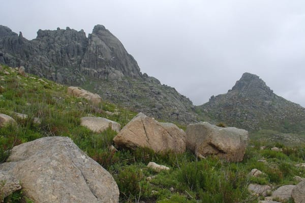 Foto 139 da atividade Galeria de Fotos