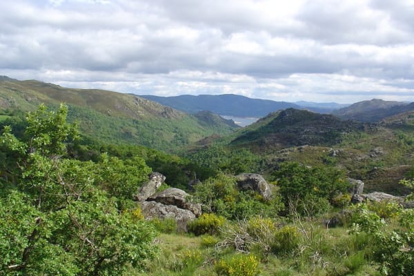 Foto 141 da atividade Galeria de Fotos