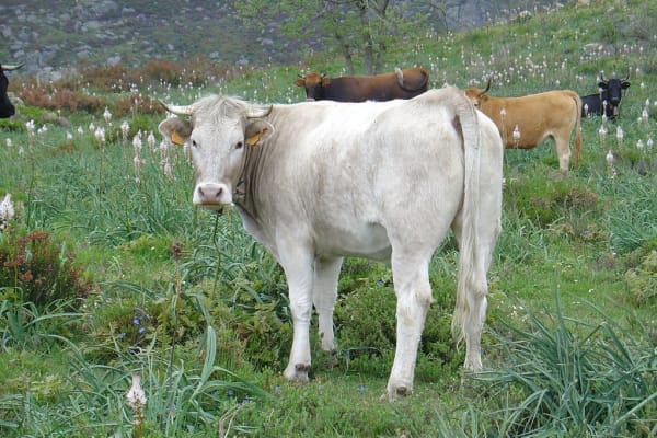 Foto 126 da atividade Galeria de Fotos