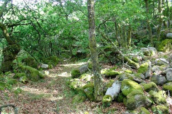 Foto 124 da atividade Galeria de Fotos