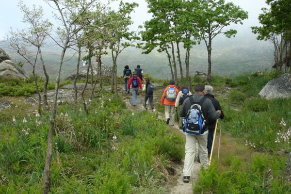 Foto 121 da atividade Galeria de Fotos