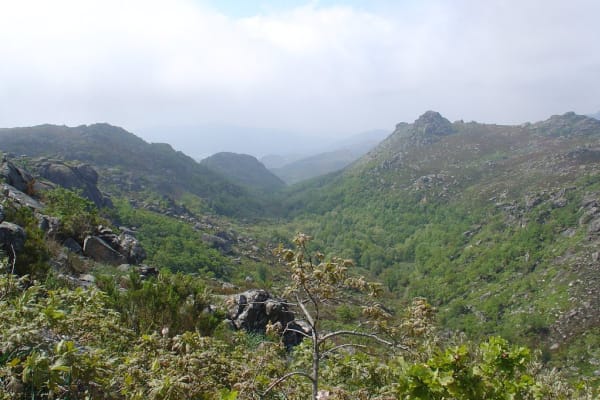 Foto 108 da atividade Galeria de Fotos