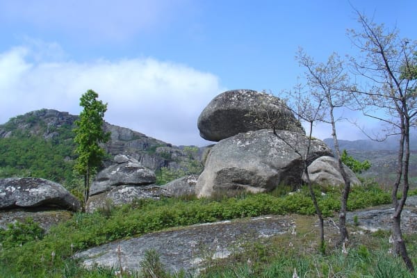 Foto 106 da atividade Galeria de Fotos