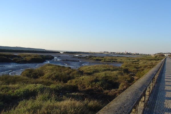 Foto 120 da atividade Galeria de Fotos