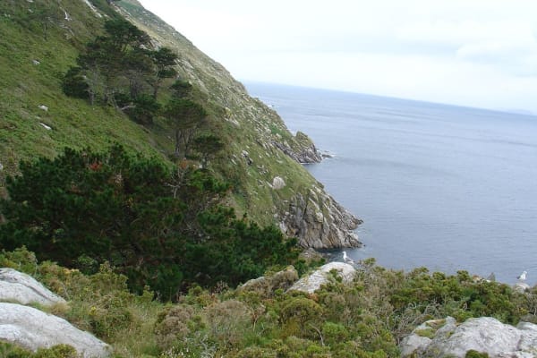 Foto 195 da atividade Galeria de Fotos