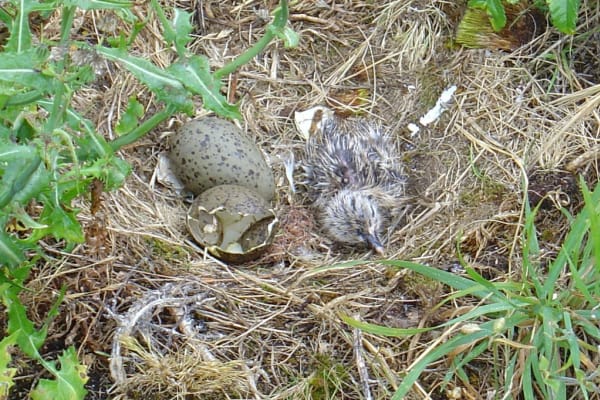 Foto 186 da atividade Galeria de Fotos