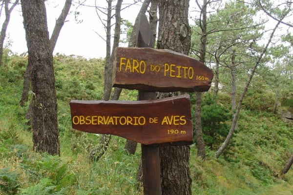 Foto 185 da atividade Galeria de Fotos