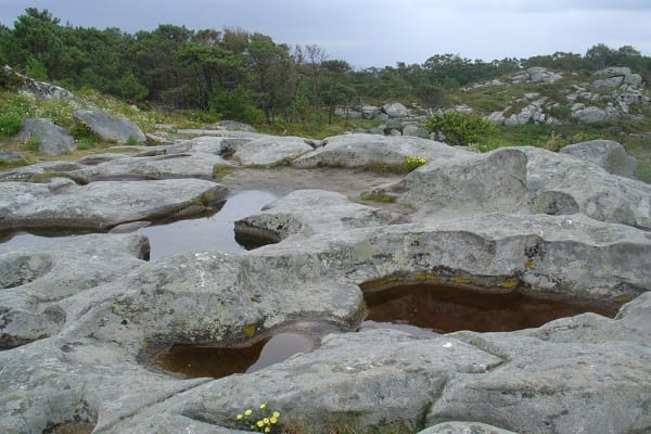 Foto 183 da atividade Galeria de Fotos