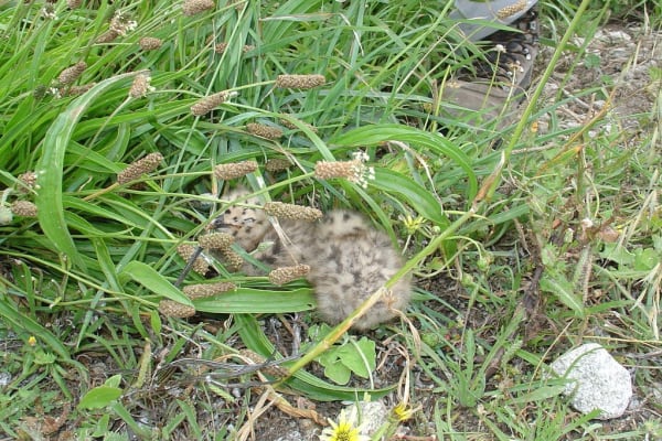 Foto 175 da atividade Galeria de Fotos