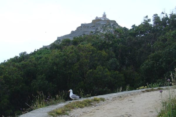 Foto 167 da atividade Galeria de Fotos