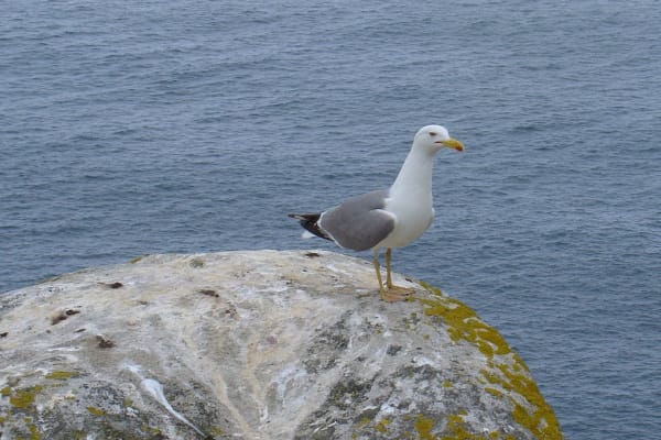 Foto 166 da atividade Galeria de Fotos