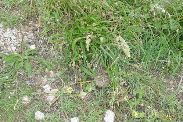 Foto 164 da atividade Galeria de Fotos