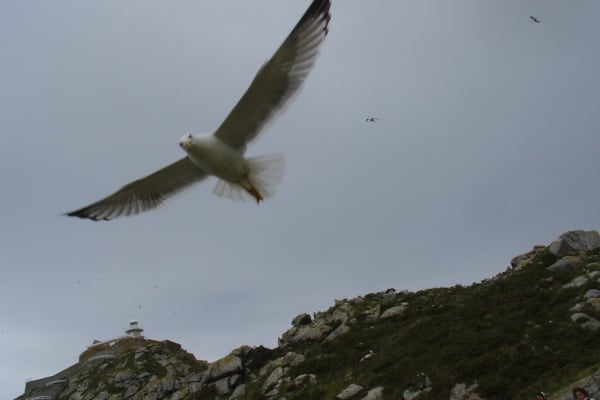 Foto 155 da atividade Galeria de Fotos