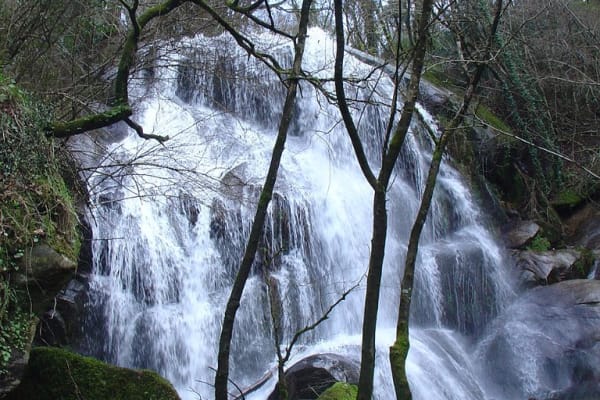 Foto 105 da atividade Galeria de Fotos