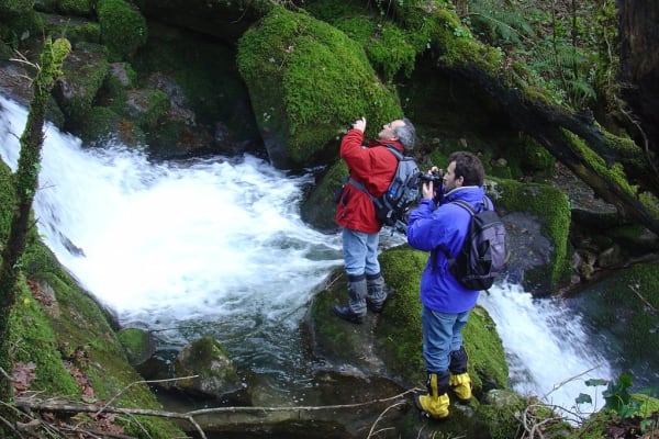 Foto 102 da atividade Galeria de Fotos