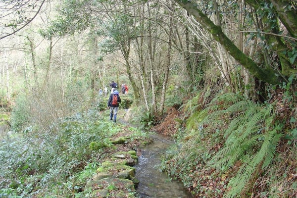 Foto 100 da atividade Galeria de Fotos