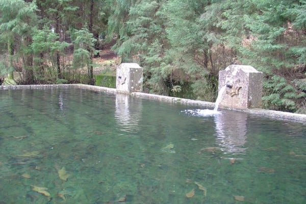 Foto 89 da atividade Galeria de Fotos