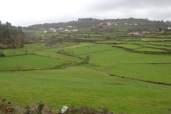 Foto 75 da atividade Galeria de Fotos