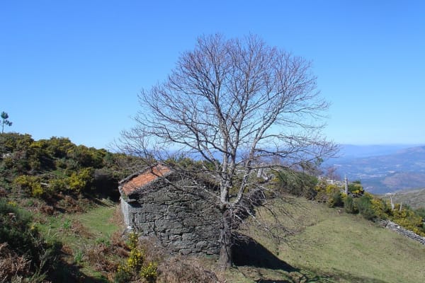 Foto 181 da atividade Galeria de Fotos