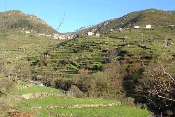 Foto 167 da atividade Galeria de Fotos