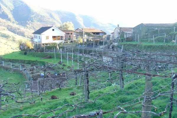 Foto 141 da atividade Galeria de Fotos