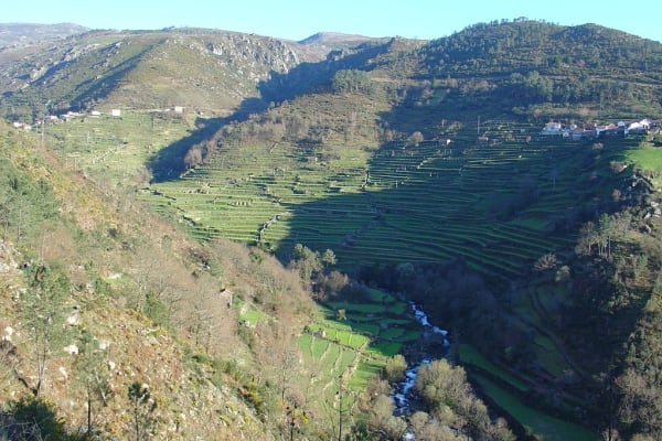 Foto 133 da atividade Galeria de Fotos