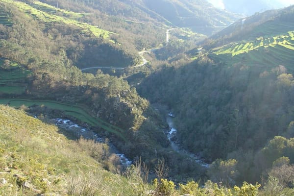 Foto 117 da atividade Galeria de Fotos