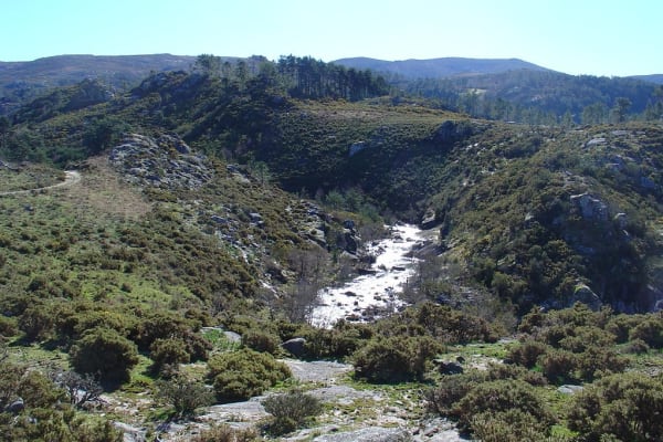 Foto 112 da atividade Galeria de Fotos