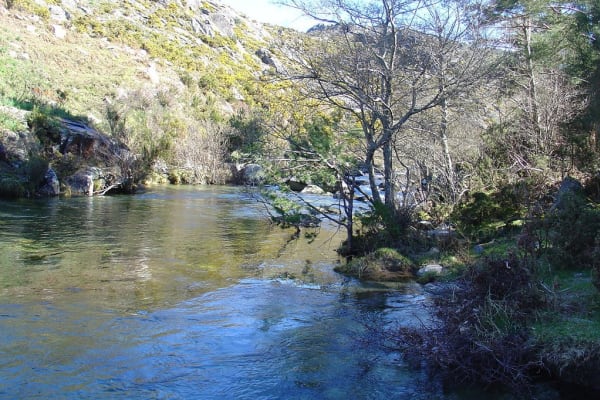 Foto 108 da atividade Galeria de Fotos