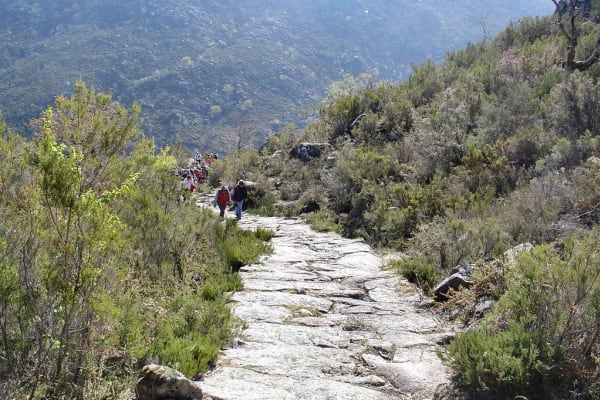 Foto 147 da atividade Galeria de Fotos