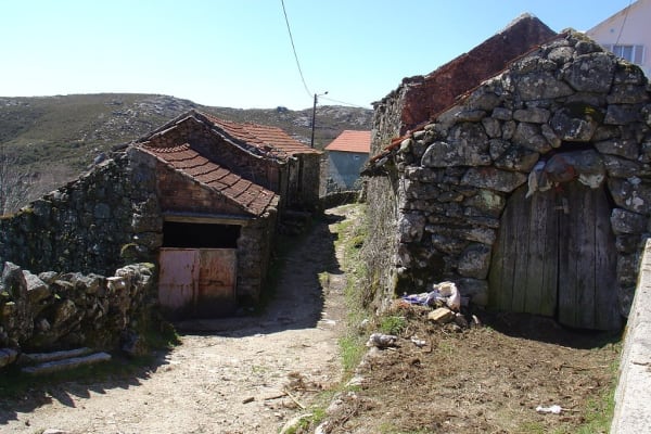 Foto 142 da atividade Galeria de Fotos