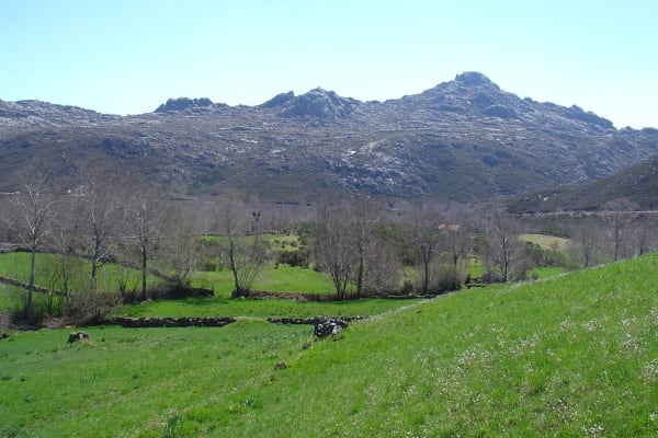 Foto 141 da atividade Galeria de Fotos